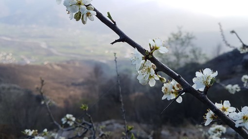 In Granda l'Equinozio di primavera si celebra con sette concerti