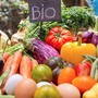 Biologico semplificato, CIA Cuneo: &quot;Da gennaio niente comunicazione PAP ma il peso del modello 'green' rimane solo sugli agricoltori