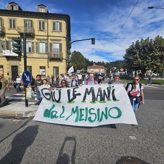 Il dottore che salva i ricci a Novello in trasferta a Torino per &quot;fermare la devastazione del Meisino&quot;