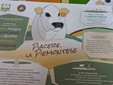 &quot;Piacere, la Piemontese”