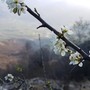 In Granda l'Equinozio di primavera si celebra con sette concerti