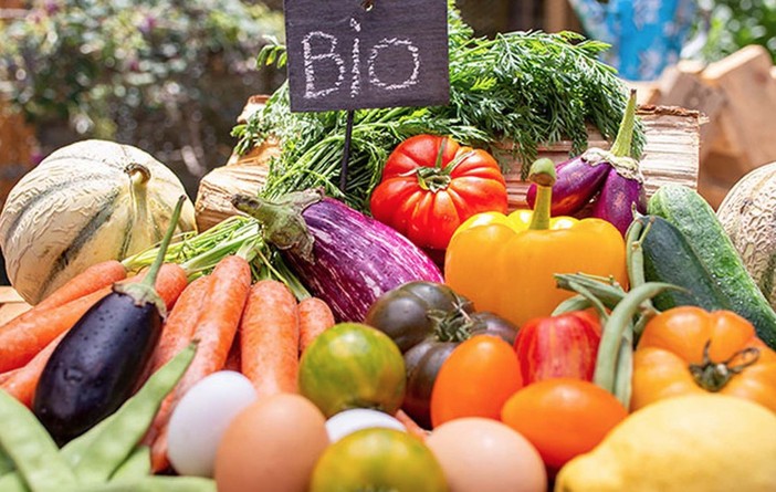 Biologico semplificato, CIA Cuneo: &quot;Da gennaio niente comunicazione PAP ma il peso del modello 'green' rimane solo sugli agricoltori