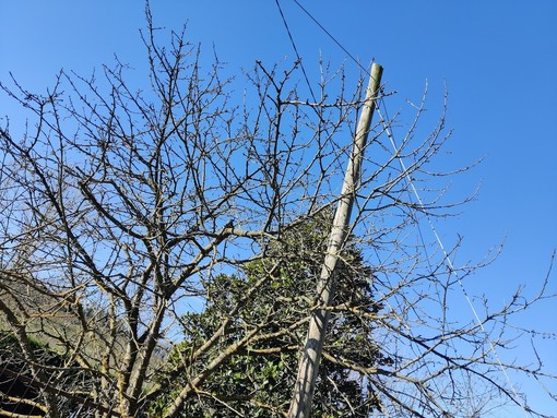 A Santo Stefano Roero  telefoni in tilt per il maltempo.  La sindaca Facco tira  le orecchie alla Telecom