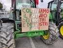 Coldiretti attacca le proteste dei trattori. Due agricoltori cuneesi: &quot;Simboli e colori del sindacato non ci incantano più!&quot;