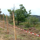 Le reti di contenimento posate nei mesi scorsi al confine tra Piemonte e Liguria