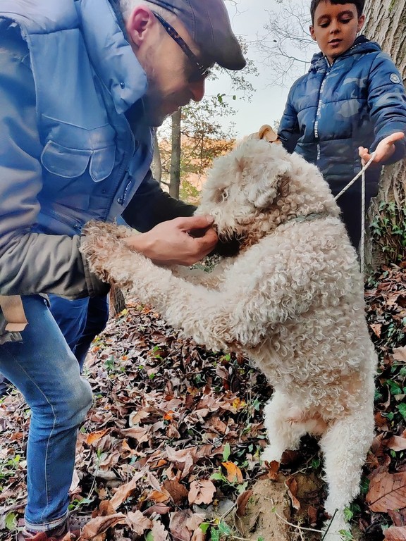 A Vezza d'Alba in cerca di tartufi nel bosco del “Trifolao” [FOTO E VIDEO]  