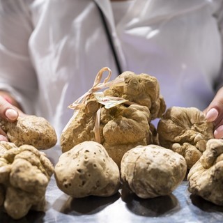 Un treno speciale da Roma ad Alba per portare i gourmet nelle terre del tartufo