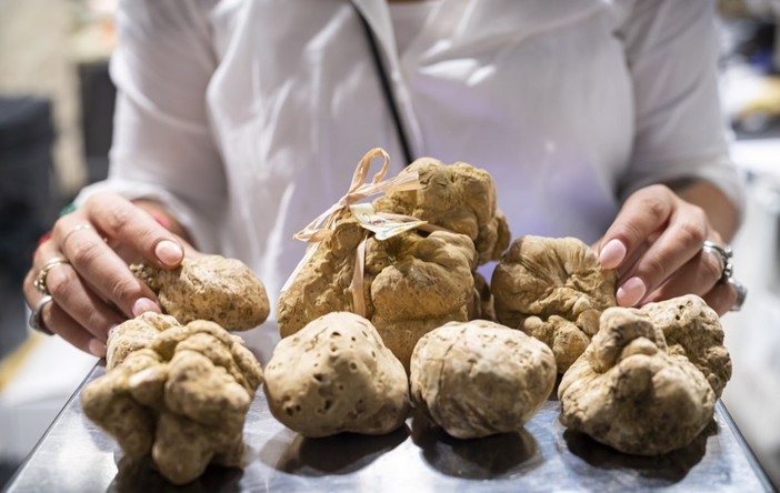 Un treno speciale da Roma ad Alba per portare i gourmet nelle terre del tartufo