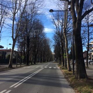 Viale degli Angeli a Cuneo