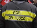 Un'oca ferita e bloccata tra i rami a Dogliani: intervento dei vigili del fuoco