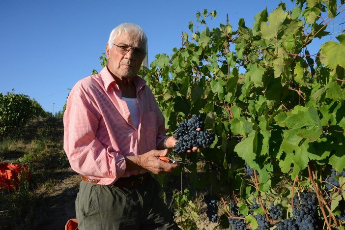 Valerio Sacco, dopo una vita dedicata alla natura, è mancato a 91 anni