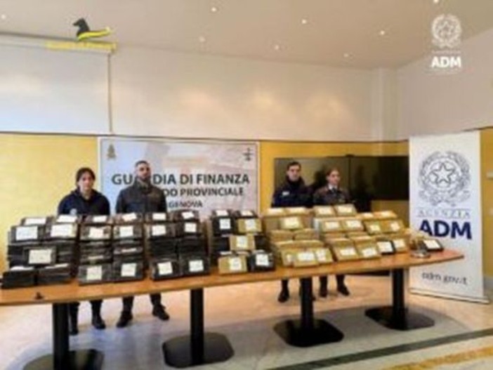 Blitz al porto di Genova, sequestrati 240 chili di cocaina